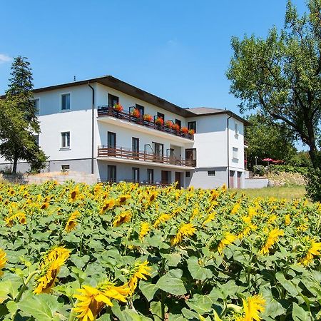 Gasthof-Pension Wein Fertőszéleskút Kültér fotó
