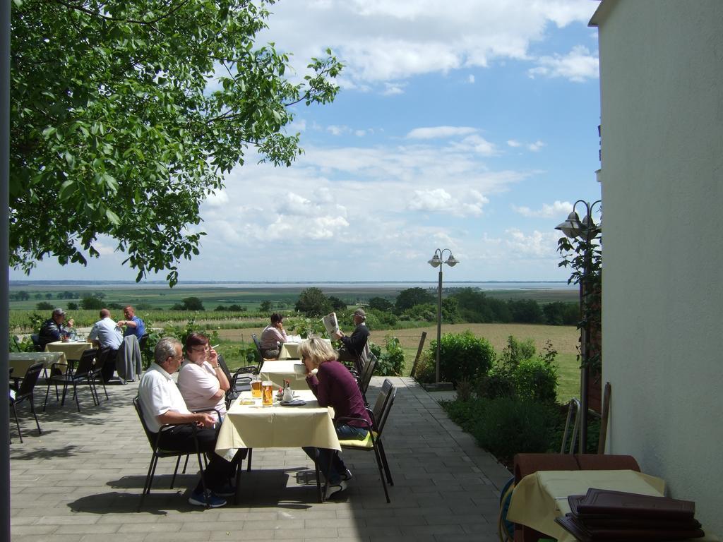 Gasthof-Pension Wein Fertőszéleskút Kültér fotó